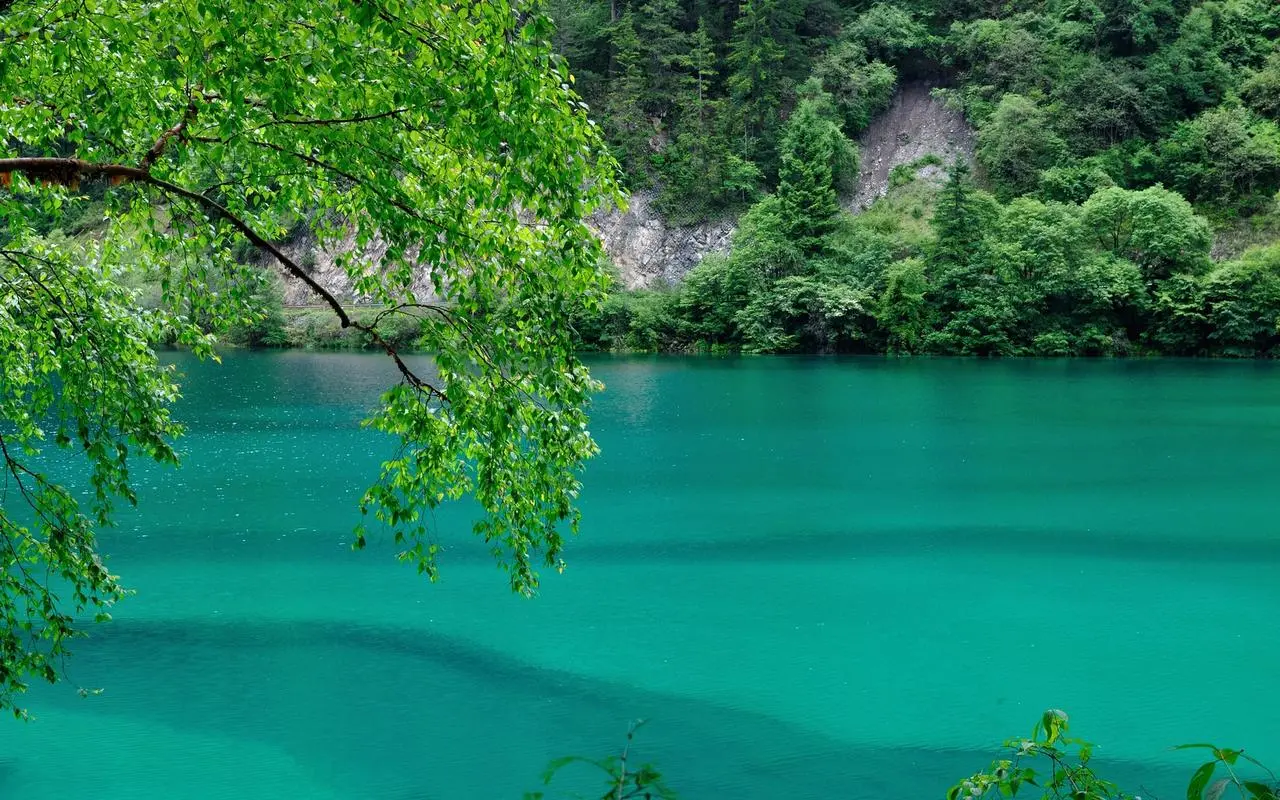 信息化精密